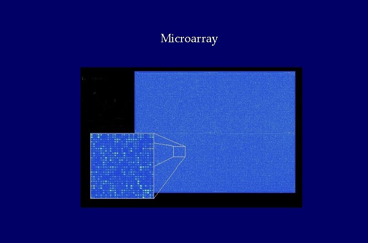 Microarray Microarray