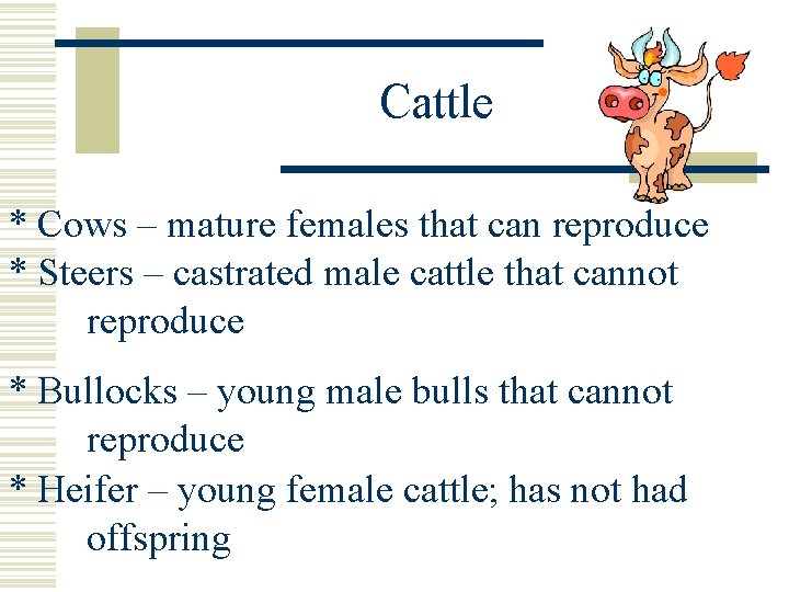 Cattle * Cows – mature females that can reproduce * Steers – castrated male