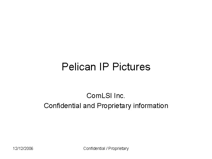 Pelican IP Pictures Com. LSI Inc. Confidential and Proprietary information 12/12/2006 Confidential / Proprietary