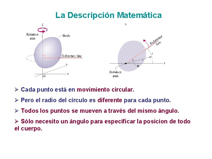 La Descripción Matemática Ø Cada punto está en movimiento circular. Ø Pero el radio