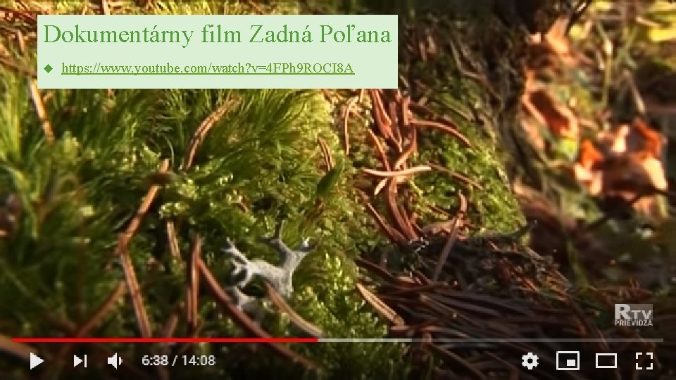 Dokumentárny film Zadná Poľana https: //www. youtube. com/watch? v=4 FPh 9 ROCI 8 A