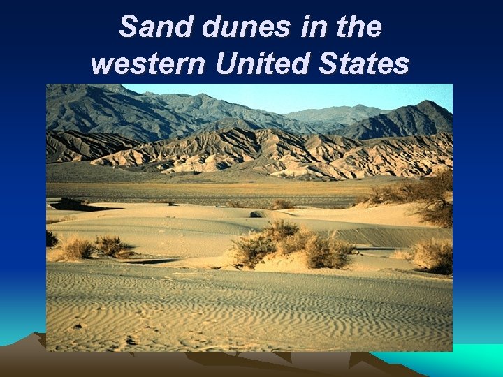 Sand dunes in the western United States 