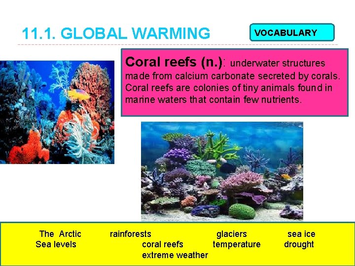 11. 1. GLOBAL WARMING VOCABULARY Coral reefs (n. ): underwater structures made from calcium