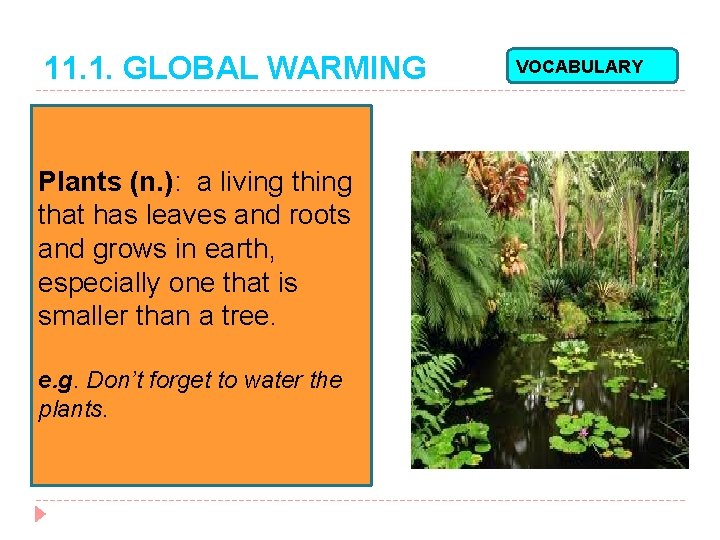 11. 1. GLOBAL WARMING Plants (n. ): a living that has leaves and roots