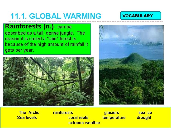 11. 1. GLOBAL WARMING VOCABULARY Rainforests (n. ): can be described as a tall,