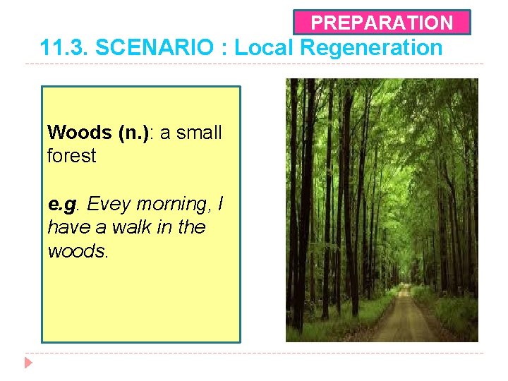 PREPARATION 11. 3. SCENARIO : Local Regeneration Woods (n. ): a small forest e.