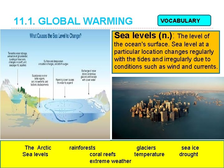 11. 1. GLOBAL WARMING VOCABULARY Sea levels (n. ): The level of the ocean's