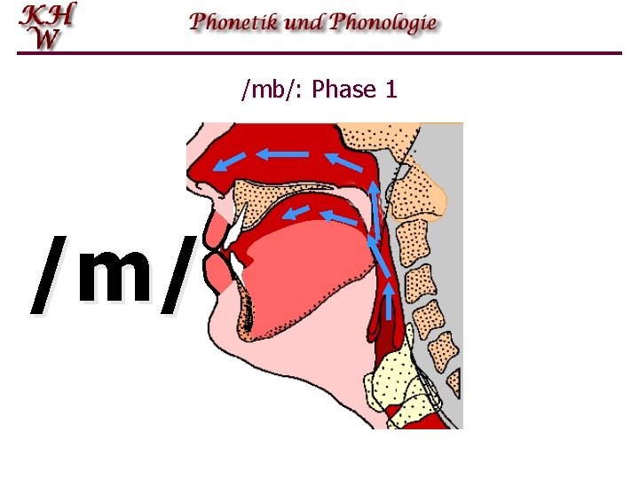 /mb/: Phase 1 /m/ 