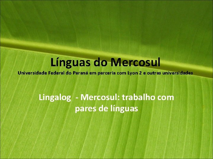 Línguas do Mercosul Universidade Federal do Paraná em parceria com Lyon 2 e outras