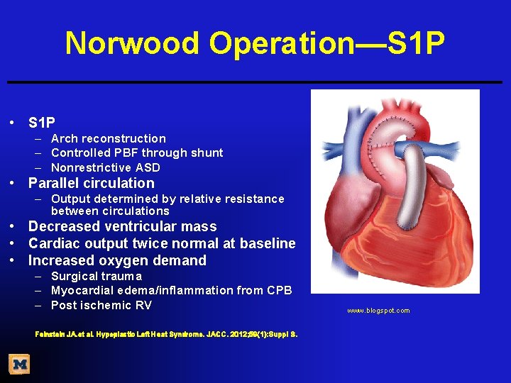 Norwood Operation—S 1 P • S 1 P – Arch reconstruction – Controlled PBF