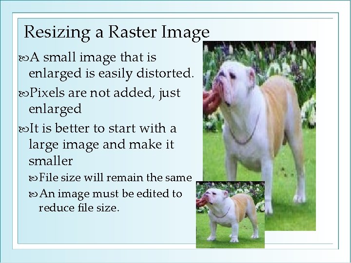 Resizing a Raster Image A small image that is enlarged is easily distorted. Pixels