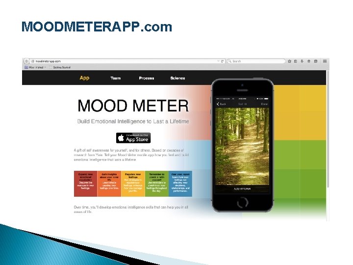 MOODMETERAPP. com 