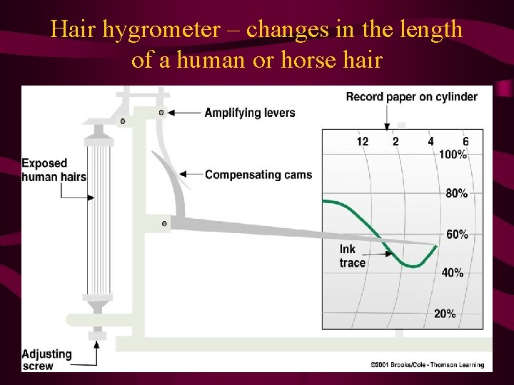 Hair hygrometer – changes in the length of a human or horse hair 