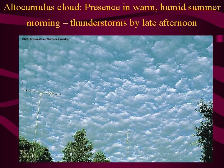 Altocumulus cloud: Presence in warm, humid summer morning – thunderstorms by late afternoon 