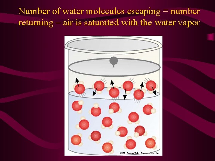 Number of water molecules escaping = number returning – air is saturated with the