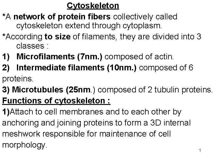 Cytoskeleton *A network of protein fibers collectively called cytoskeleton extend through cytoplasm. *According to