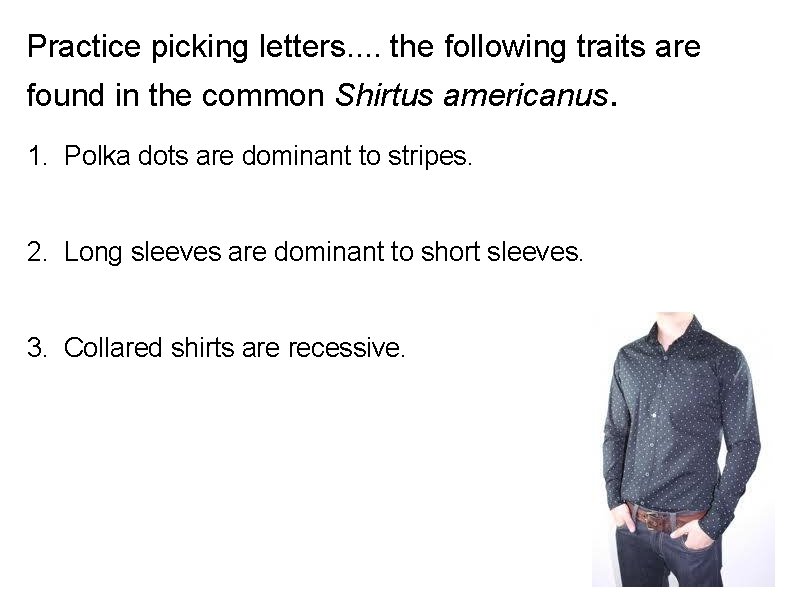 Practice picking letters. . the following traits are found in the common Shirtus americanus.