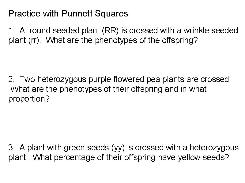 Practice with Punnett Squares 1. A round seeded plant (RR) is crossed with a