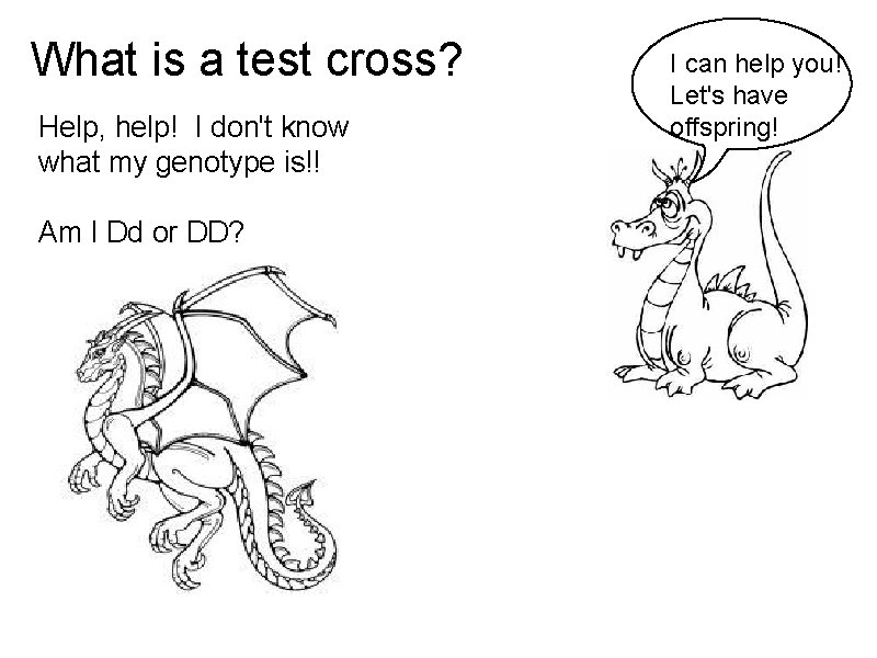 What is a test cross? Help, help! I don't know what my genotype is!!