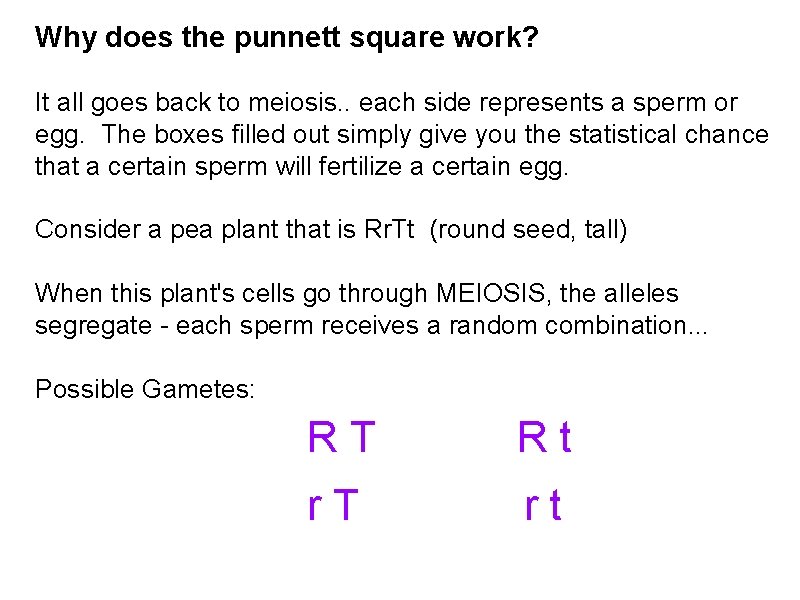 Why does the punnett square work? It all goes back to meiosis. . each