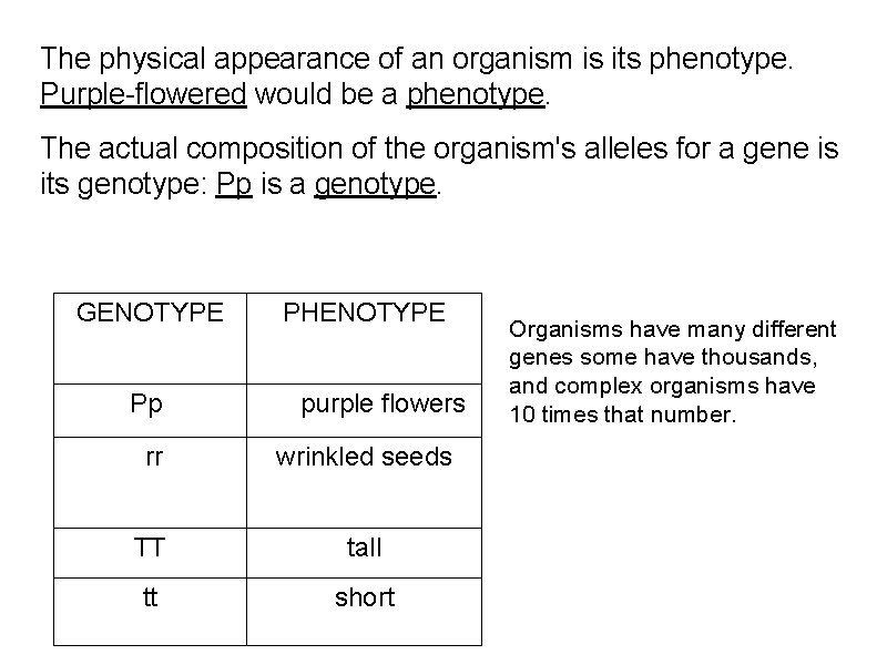The physical appearance of an organism is its phenotype. Purple-flowered would be a phenotype.