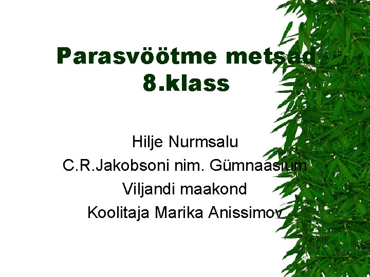 Parasvöötme metsad 8. klass Hilje Nurmsalu C. R. Jakobsoni nim. Gümnaasium Viljandi maakond Koolitaja