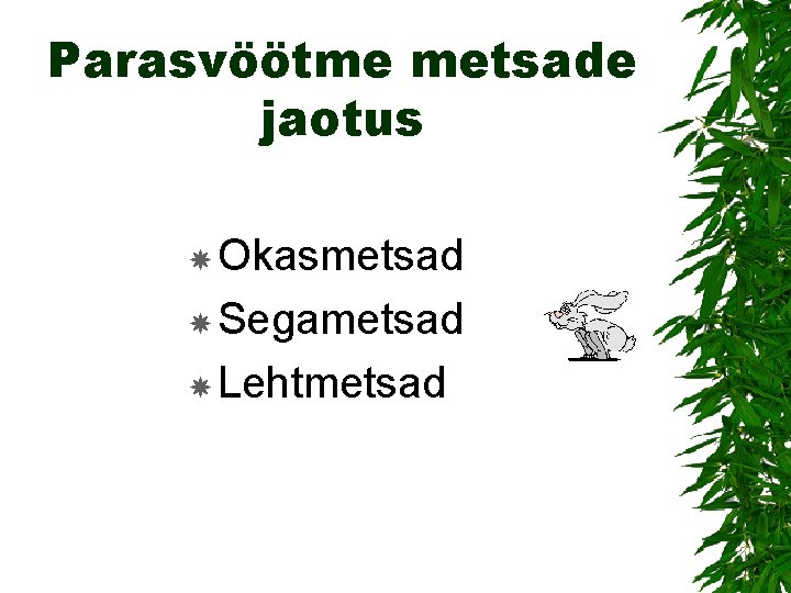 Parasvöötme metsade jaotus Okasmetsad Segametsad Lehtmetsad 