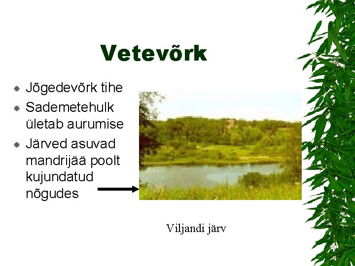 Vetevõrk Jõgedevõrk tihe Sademetehulk ületab aurumise Järved asuvad mandrijää poolt kujundatud nõgudes Viljandi järv