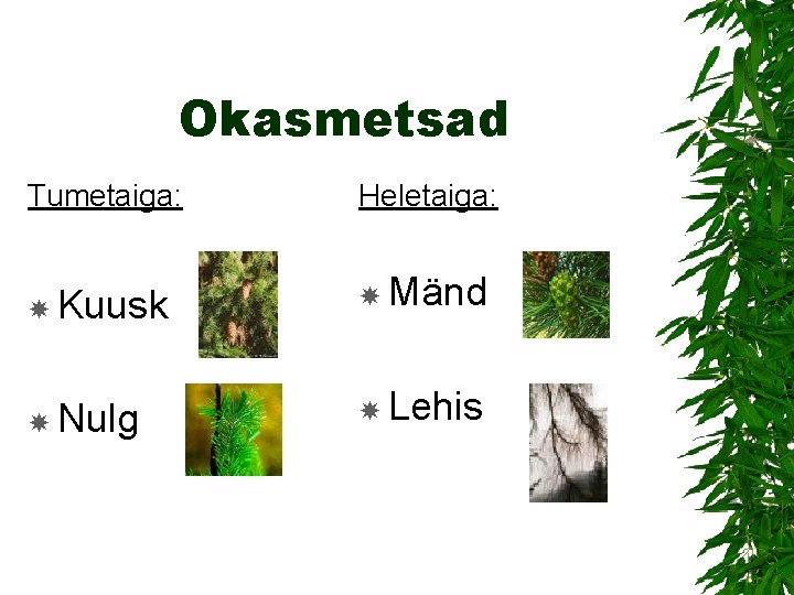 Okasmetsad Tumetaiga: Heletaiga: Kuusk Mänd Nulg Lehis 