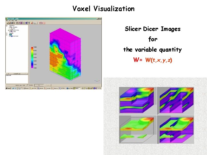 Voxel Visualization Slicer Dicer Images for the variable quantity W= W(t, x, y, z)