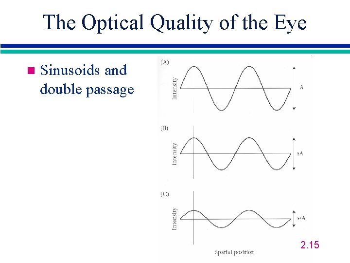 The Optical Quality of the Eye n Sinusoids and double passage 2. 15 