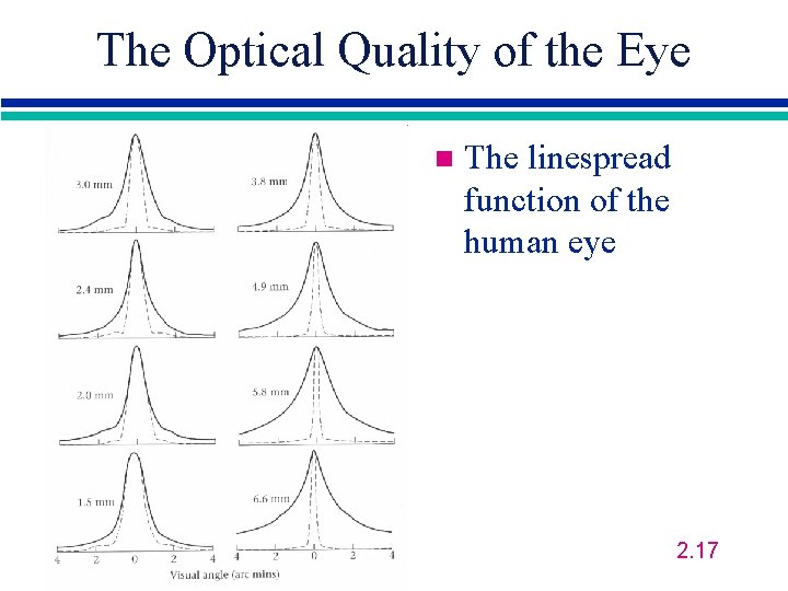 The Optical Quality of the Eye n The linespread function of the human eye