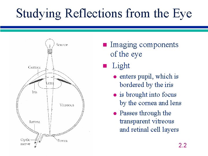 Studying Reflections from the Eye n n Imaging components of the eye Light l