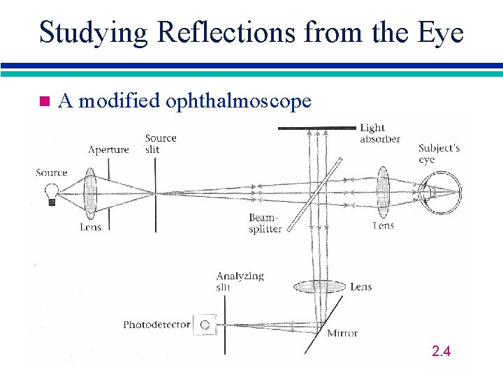 Studying Reflections from the Eye n A modified ophthalmoscope 2. 4 
