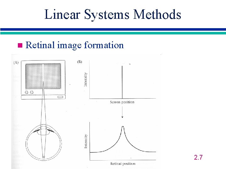 Linear Systems Methods n Retinal image formation 2. 7 