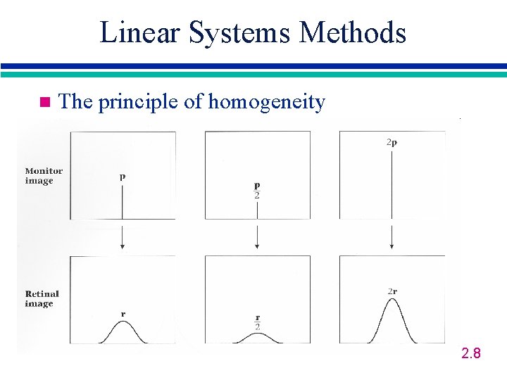 Linear Systems Methods n The principle of homogeneity 2. 8 