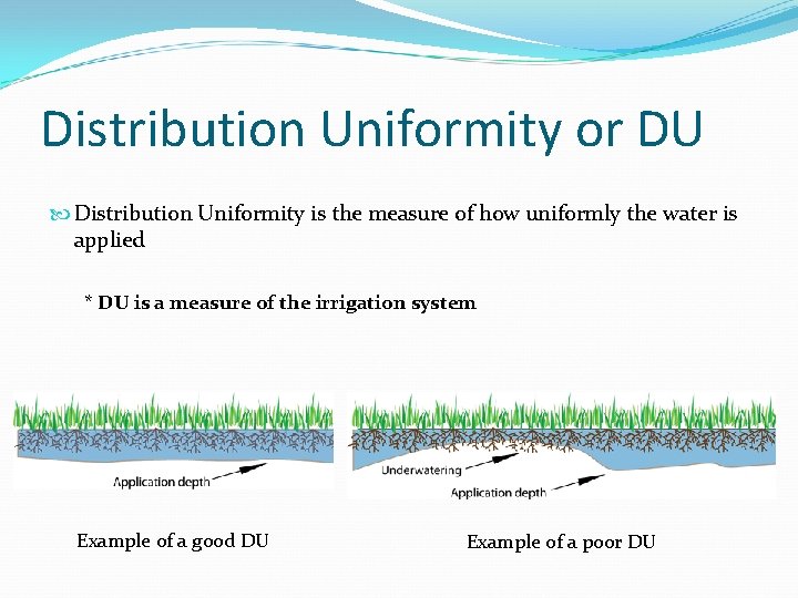 Distribution Uniformity or DU Distribution Uniformity is the measure of how uniformly the water