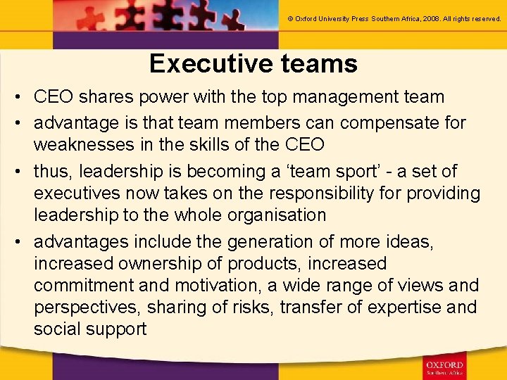 © Oxford University Press Southern Africa, 2008. All rights reserved. Executive teams • CEO