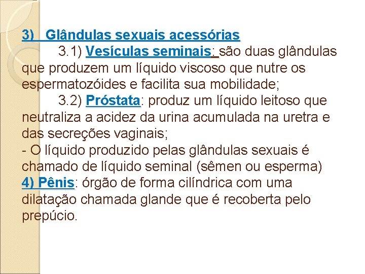 3) Glândulas sexuais acessórias 3. 1) Vesículas seminais: são duas glândulas que produzem um