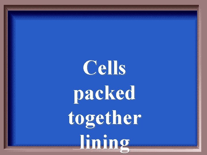 Cells packed together lining 