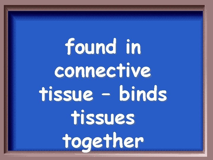 found in connective tissue – binds tissues together 