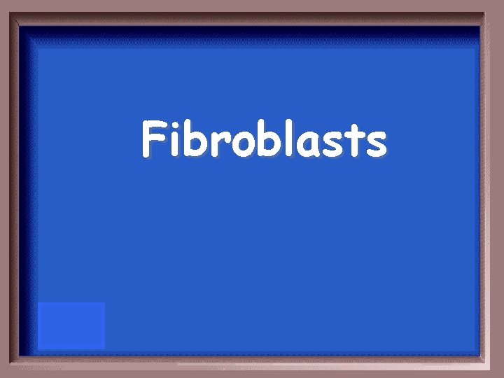 Fibroblasts 