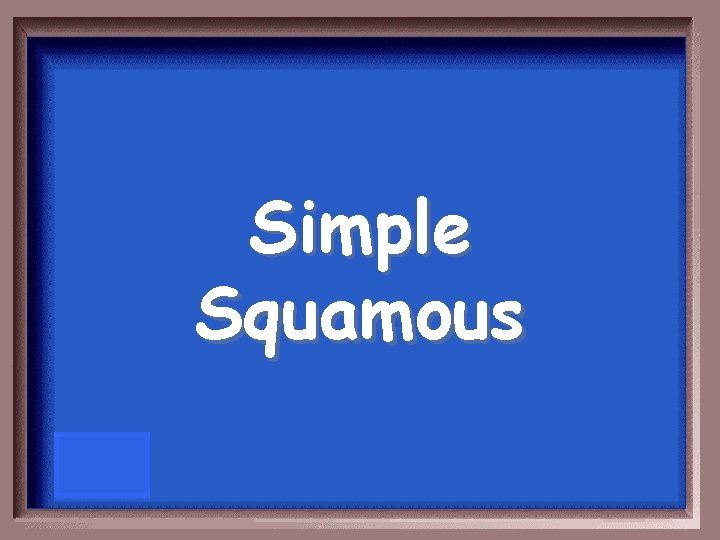 Simple Squamous 