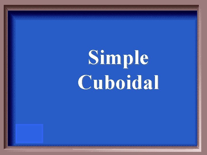 Simple Cuboidal 