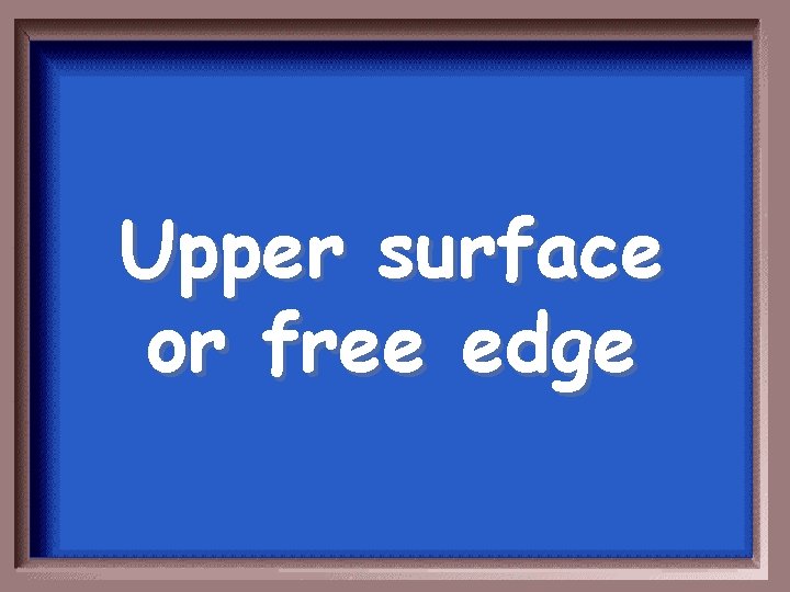 Upper surface or free edge 