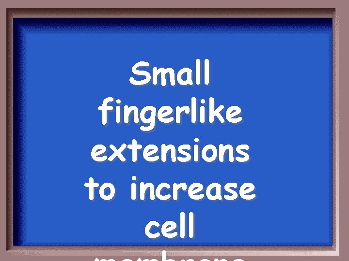 Small fingerlike extensions to increase cell 