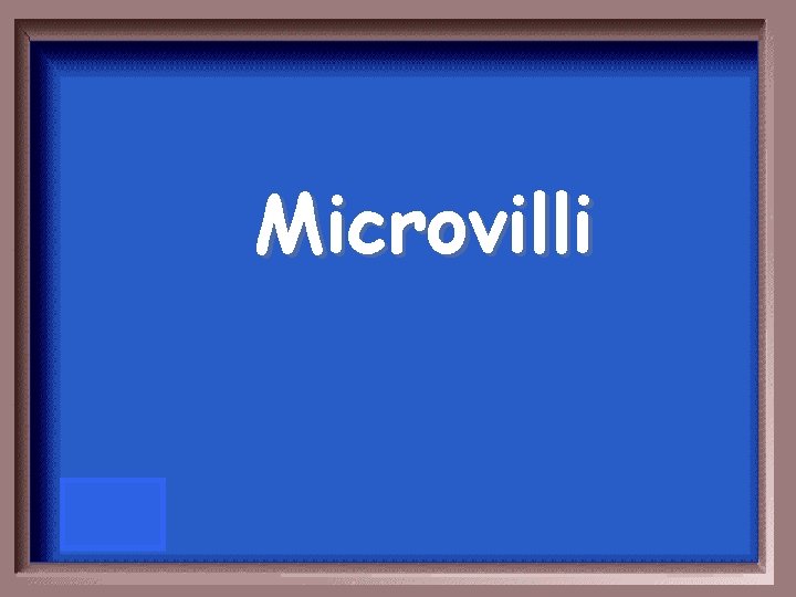 Microvilli 