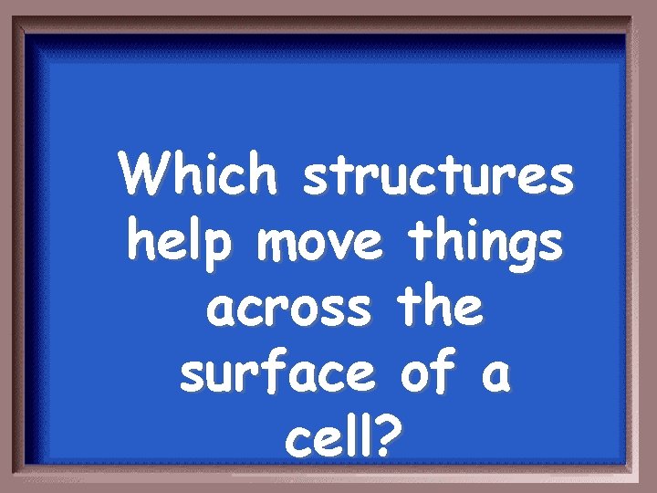 Which structures help move things across the surface of a cell? 