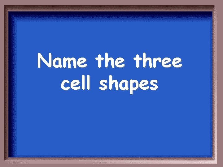 Name three cell shapes 