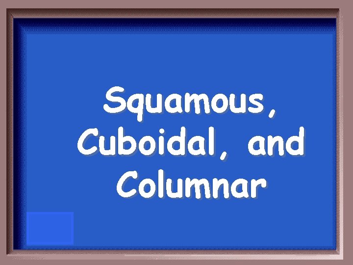 Squamous, Cuboidal, and Columnar 